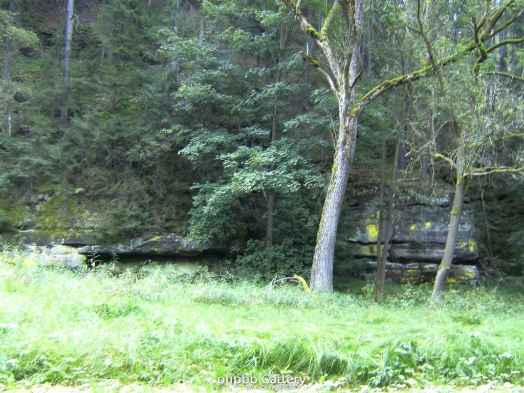 Image 005