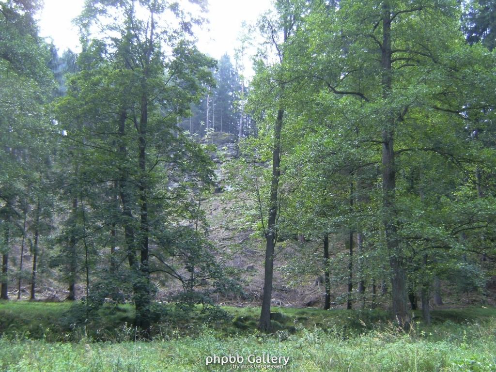 Image 006