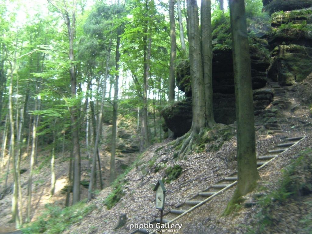 Image 010