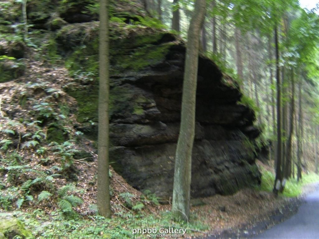 Image 011