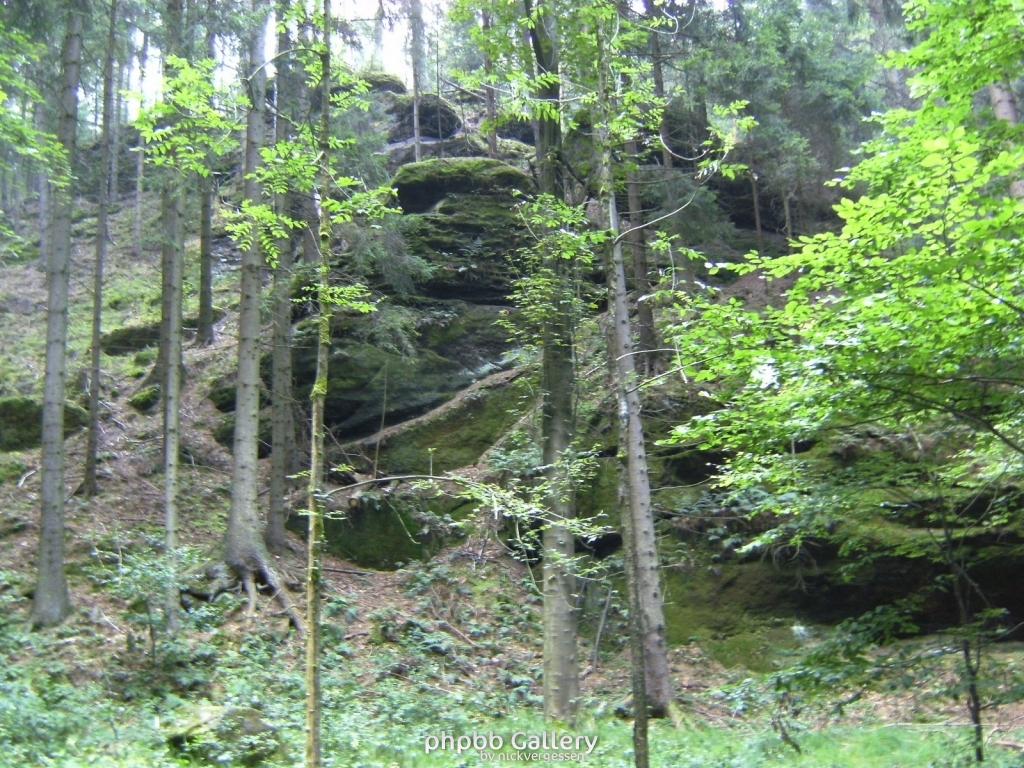 Image 012