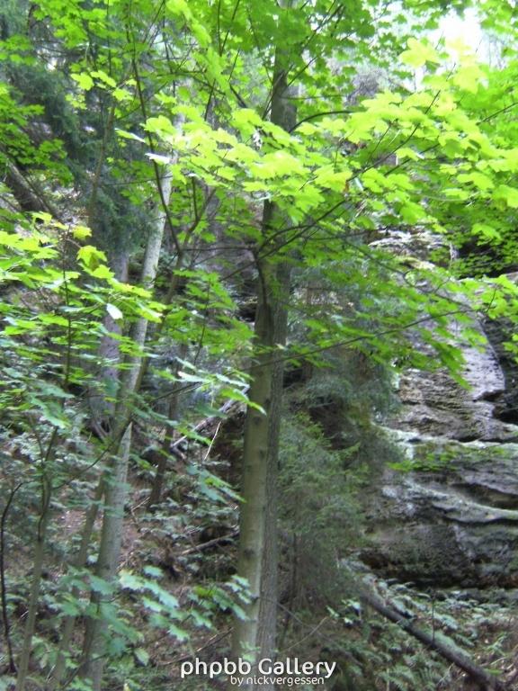 Image 015