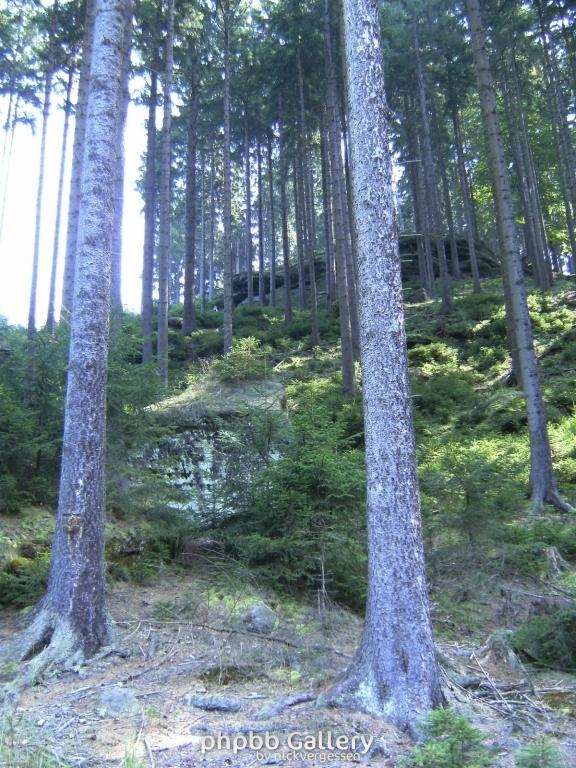 Image 035