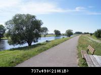 DSC00781