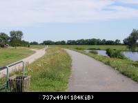 DSC00785