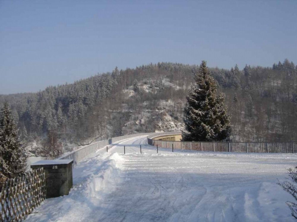 Harz-Winter Wendefurter-Stausee (20)