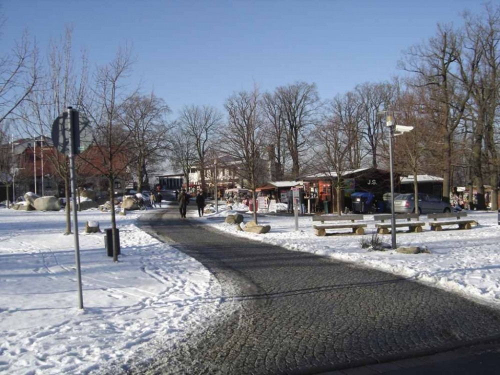 Harz-Winter-Hexentanzplatz (6)