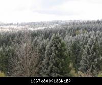 Torfhaus imHarz (30)