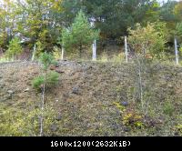 Wendehausen Katharinenberg 31  181009