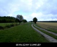 Wendehausen Katharinenberg 50  181009