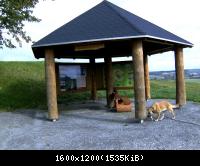Wendehausen Katharinenberg 64  181009