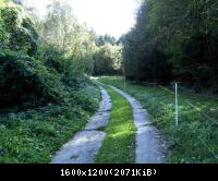 Wendehausen Katharinenberg 80  181009