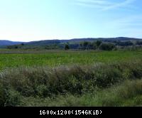Goeringen 03  260709