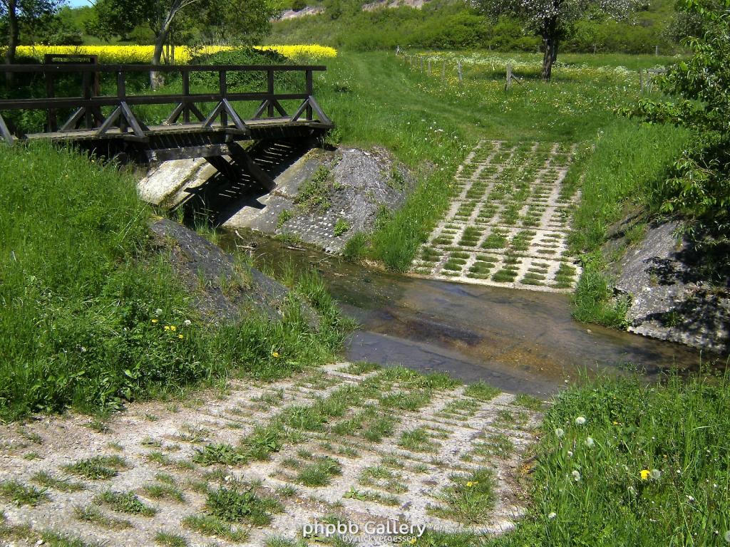 Ifta Fuest Luederbach 65  23052010