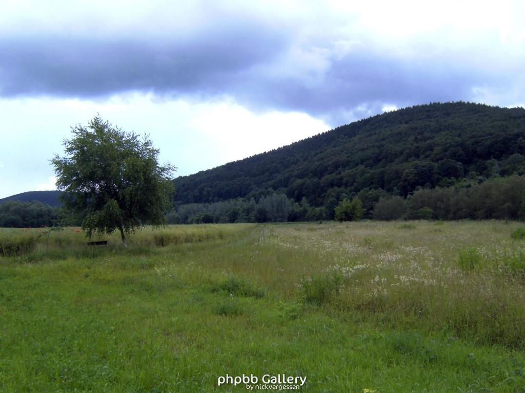 Lindewerra 18 210609