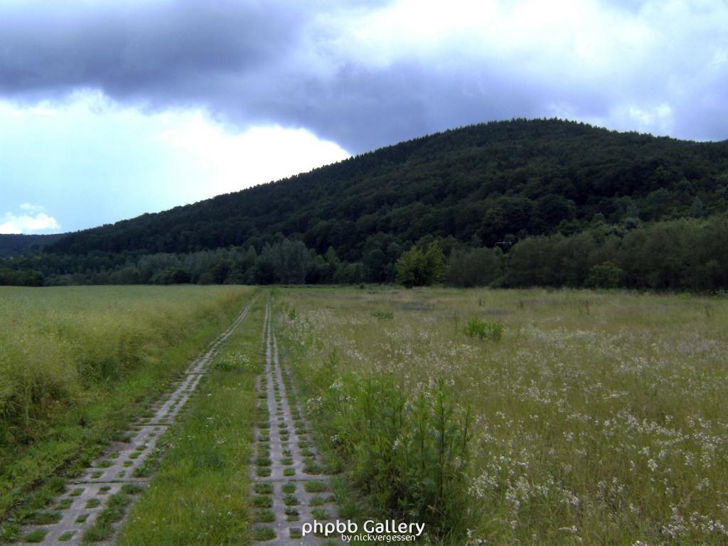 Lindewerra 19 210609