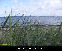 Ostsee-2010 (53)