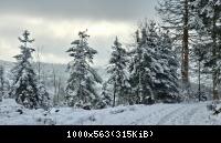 20250111 123852~1