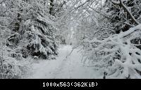 20250111 121619