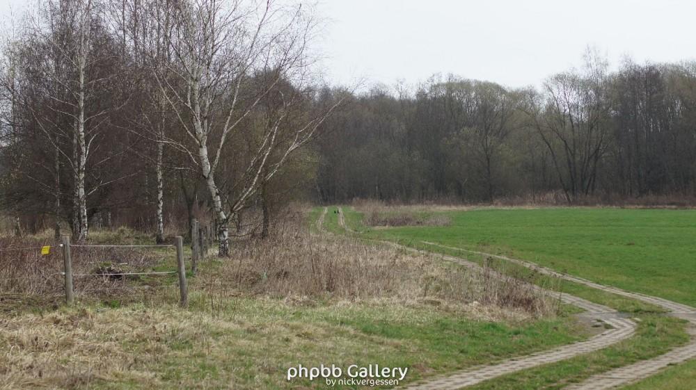 Rotheul