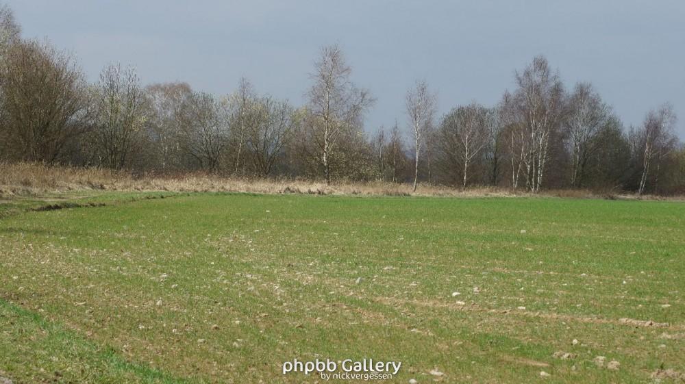 Rotheul
