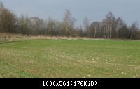 Rotheul